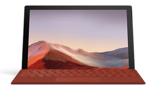 海珠清洁和维护 Surface